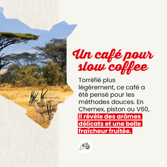 Caffè in grani Kenia - FILTRAZIONE