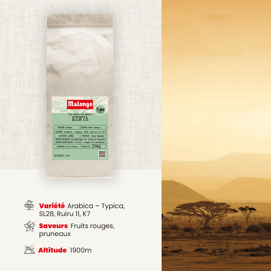 Café en grano Kenia - FILTRACIÓN