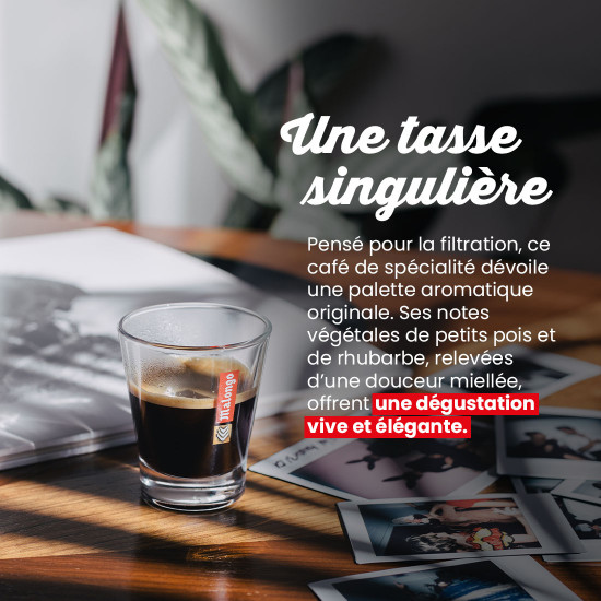 Café en Grano Laos Catimor Honey – Filtración