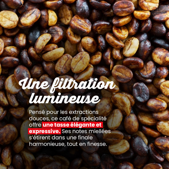 Caffè in Grani Laos Starmaya Honey – Filtrazione