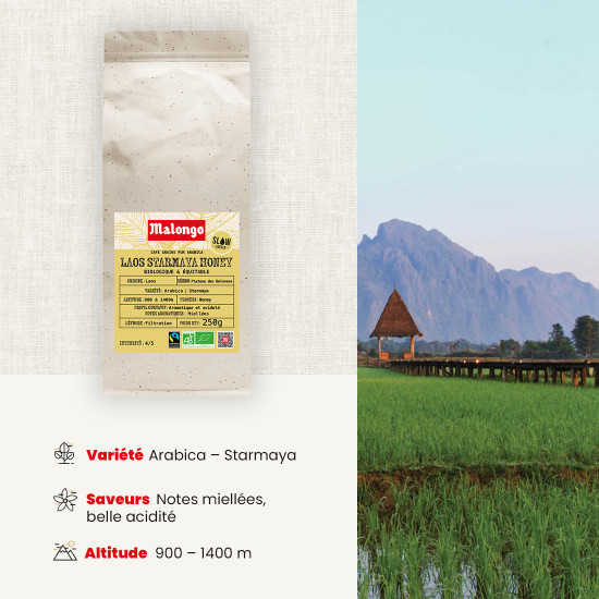 Café Grains Laos Starmaya Honey - filtration