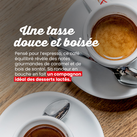 Caffè in grani Maragogype Messico