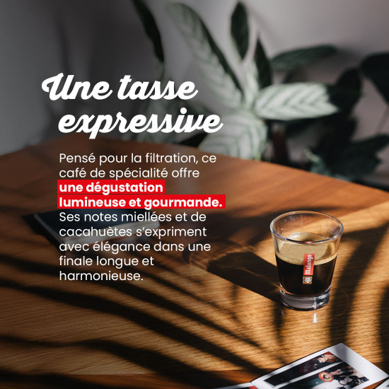 Café en Grano Laos Marsellesa Honey – Filtración