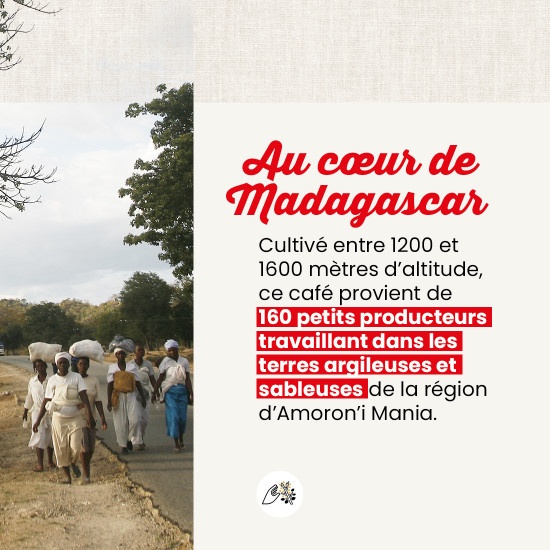 Café en grano Madagascar