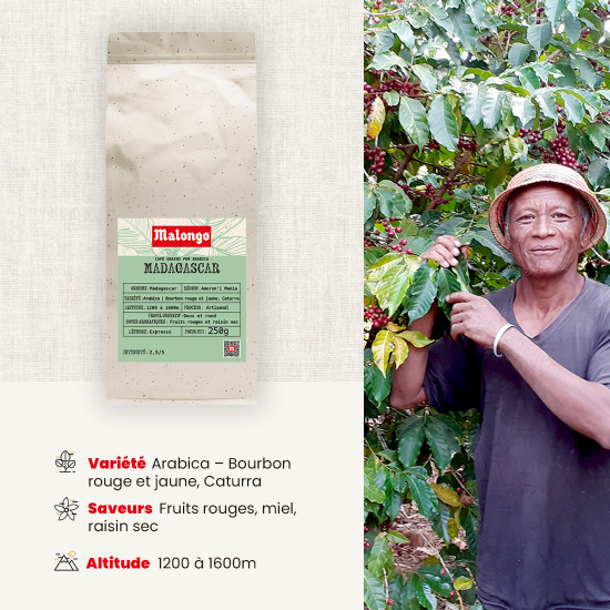 Café Grains Madagascar