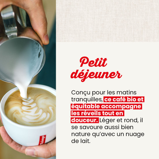 Café Grains Les Purs Matins 1kg