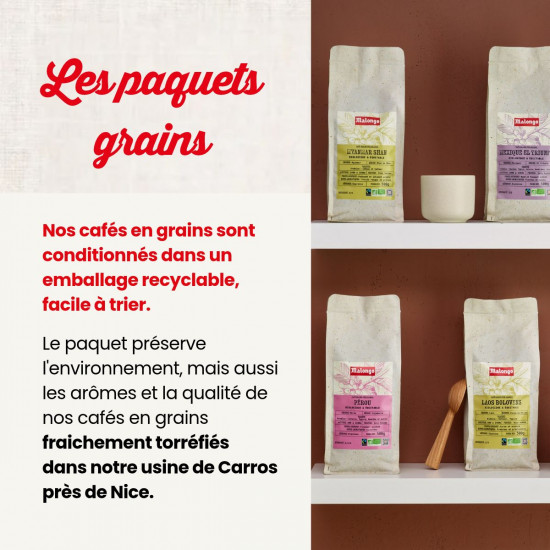 Café grains Salvador La Reforma