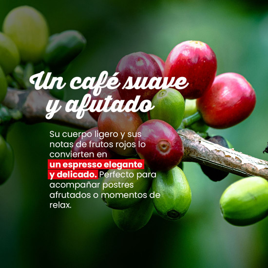 Café molido Colombia IGP