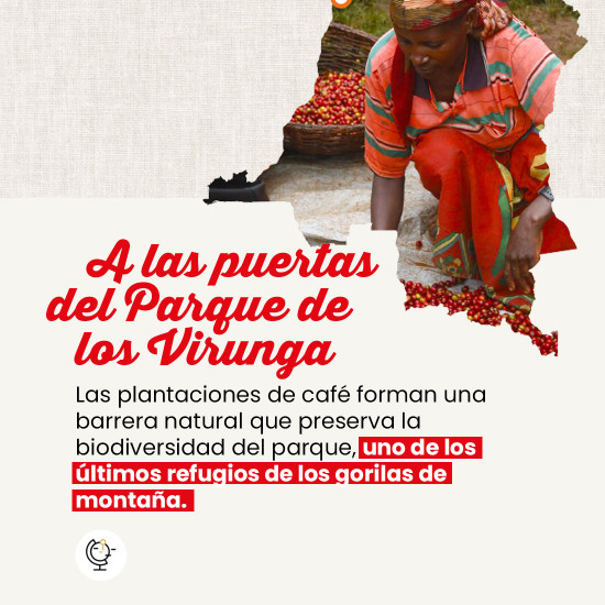 Café molido Congo Virunga
