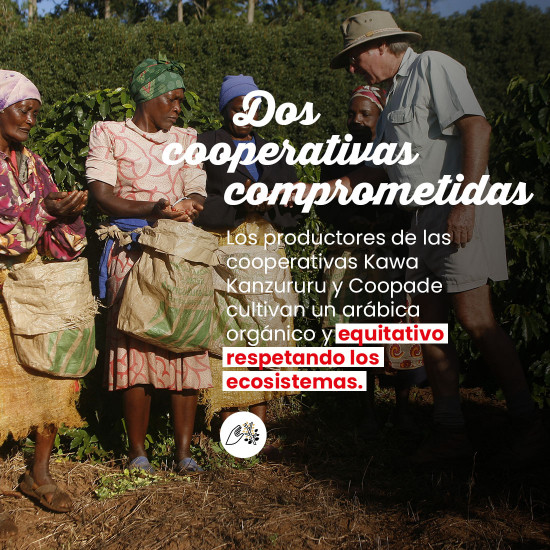 Café molido Congo Virunga