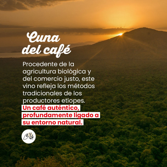 Café molido Etiopía Sidamo