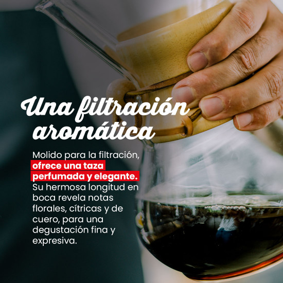 Café molido Etiopía Sidamo