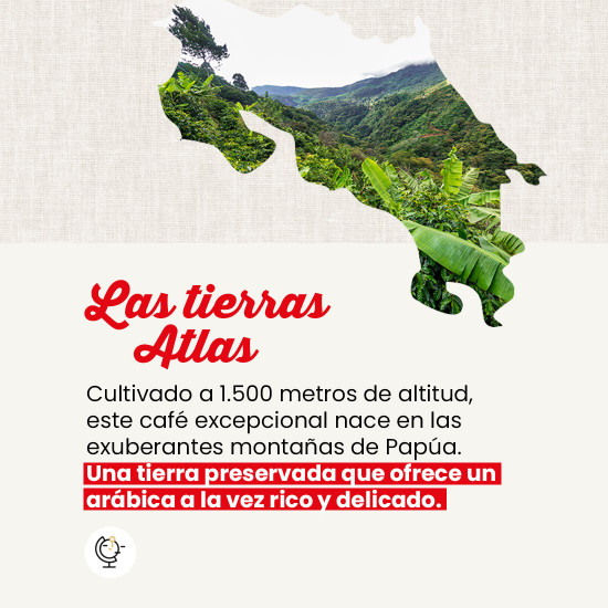 Café molido Puro Papúa