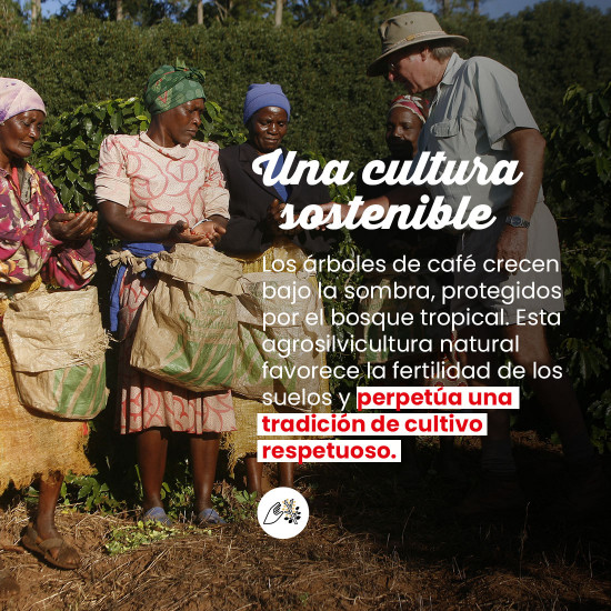 Café molido Puro Papúa