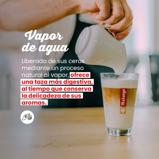 Café molido Purs Matins