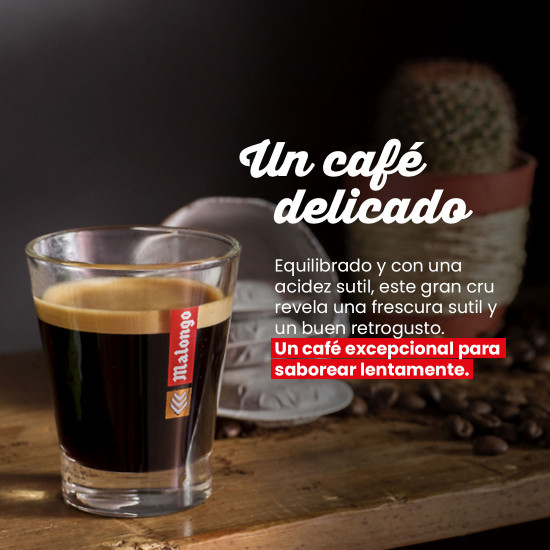 Café molido Zimbabue Farfell