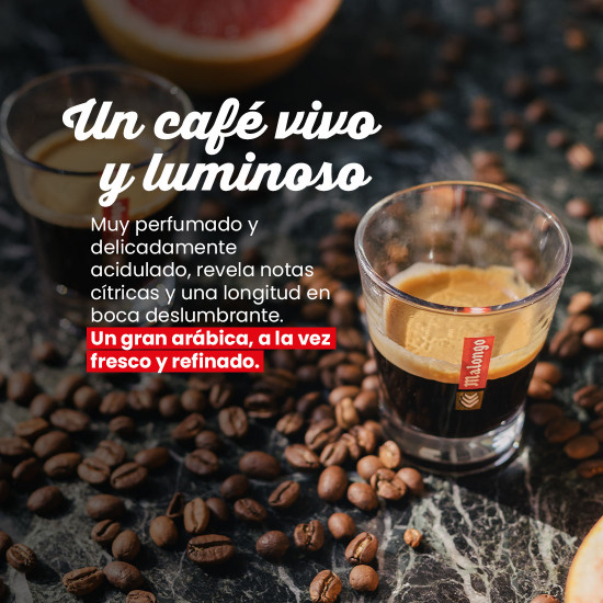 Café en grano Kenia