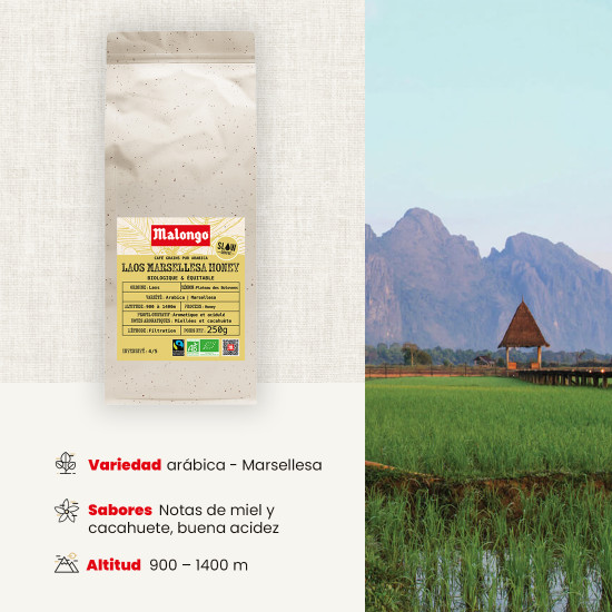 Café en Grano Laos Marsellesa Honey – Filtración