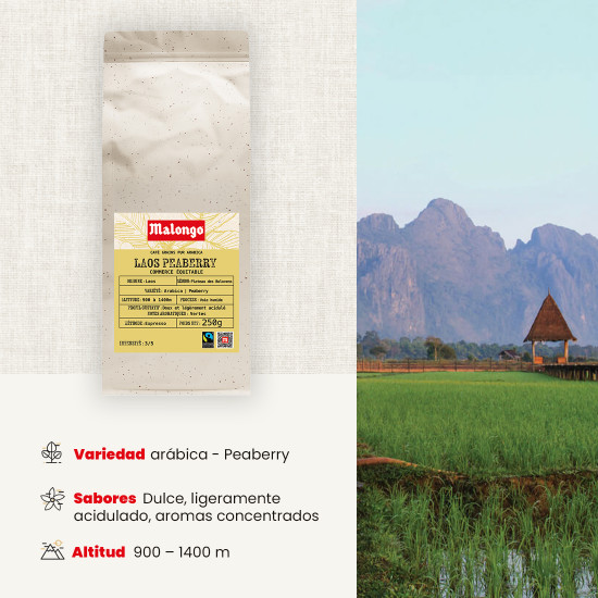 Café en grano Laos Peaberry