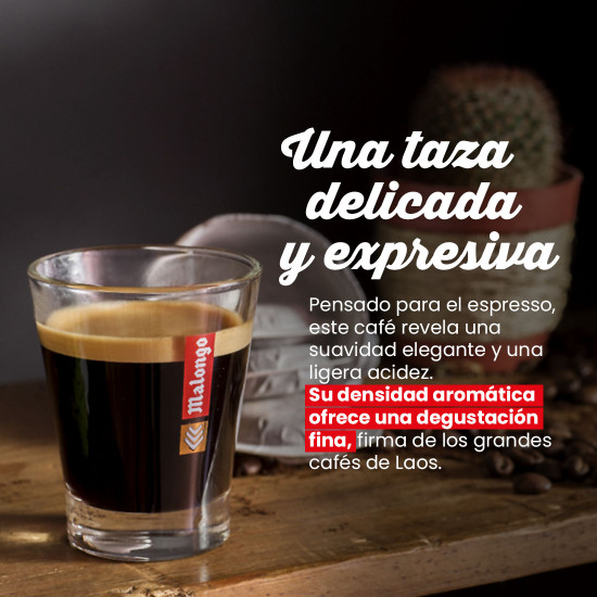 Café en grano Laos Peaberry