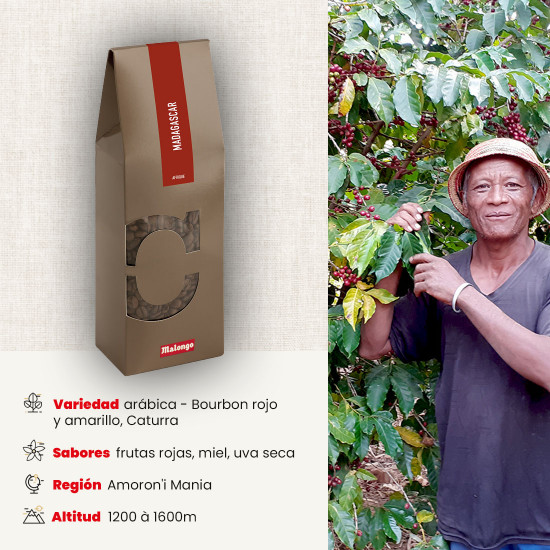 Café en grano Madagascar