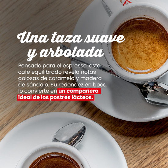 Café en grano Maragogype México