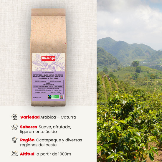Café en grano Honduras