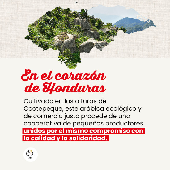 Café en grano Honduras