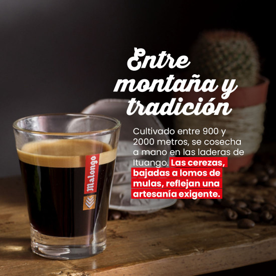 Café molido Colombian Antioquia
