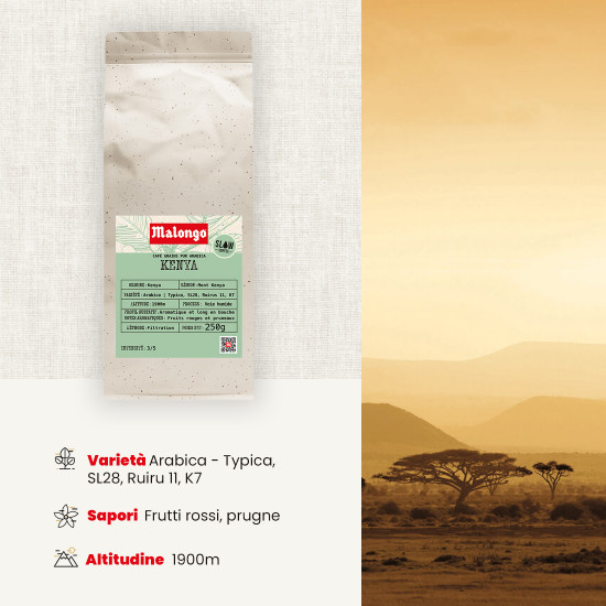 Caffè in grani Kenia - FILTRAZIONE