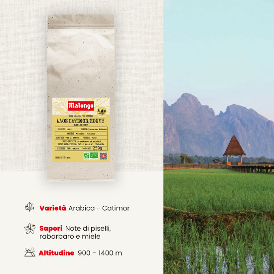 Caffè in Grani Laos Catimor Honey – Filtrazione