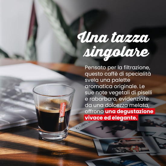 Caffè in Grani Laos Catimor Honey – Filtrazione