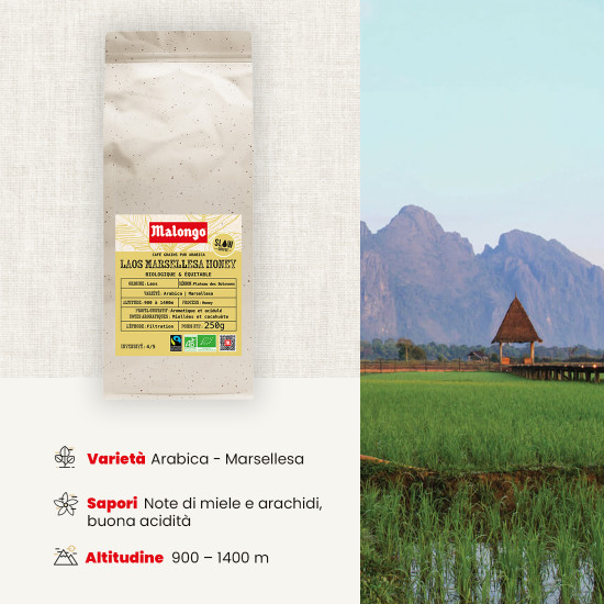 Caffè in Grani Laos Marsellesa Honey – Filtrazione