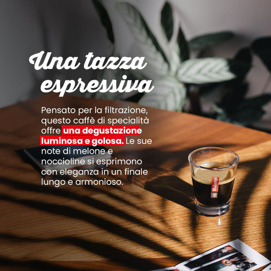 Caffè in Grani Laos Marsellesa Honey – Filtrazione