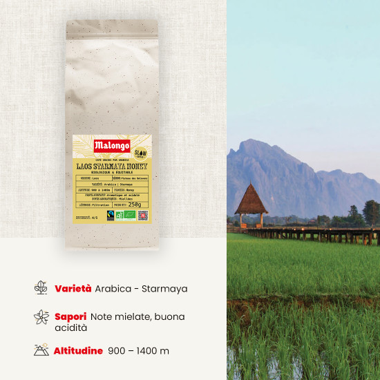 Caffè in Grani Laos Starmaya Honey – Filtrazione