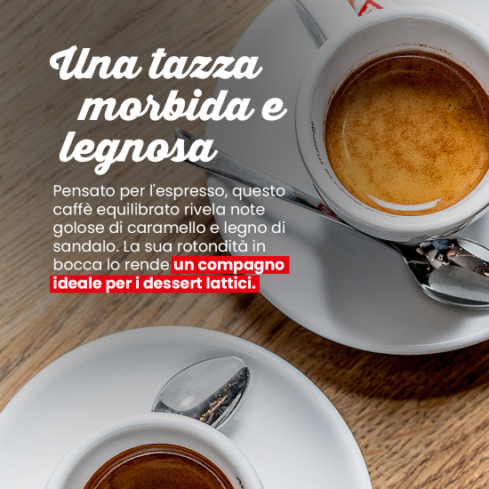 Caffè in grani Maragogype Messico
