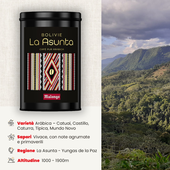 Caffè macinato Bolivia La Asunta