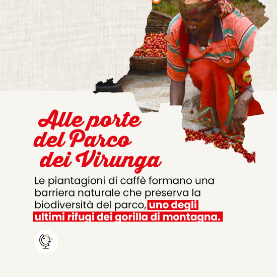 Caffè Macinato Congo Virunga