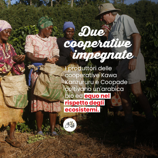 Caffè Macinato Congo Virunga