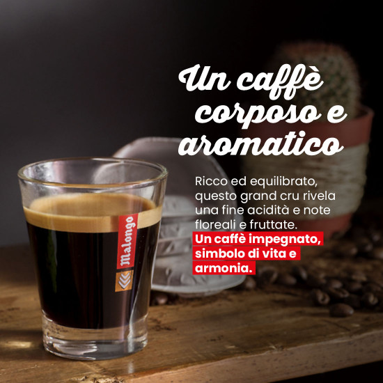 Caffè Macinato Congo Virunga