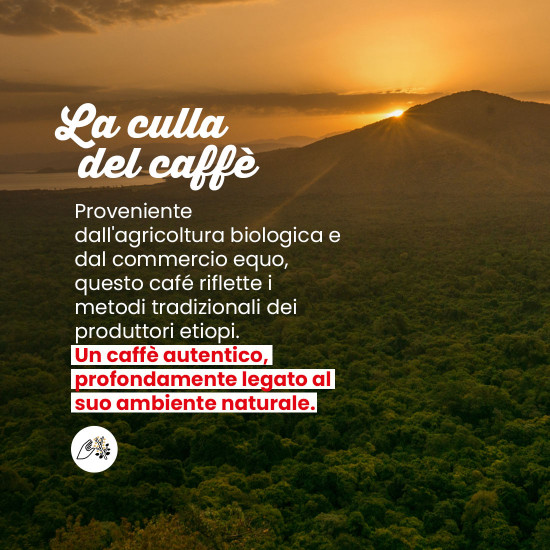Caffè macinato Etiopia Sidamo