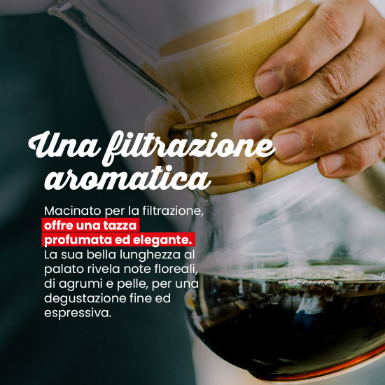 Caffè macinato Etiopia Sidamo