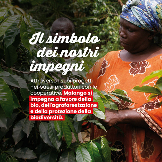 Caffè macinato La Tierra