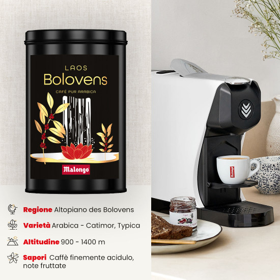 Caffè macinato Laos Bolovens