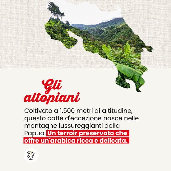 Caffè macinato Pura Papua