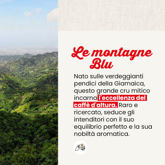 Cialde Blue Mountain Mountain dalla Giamaica