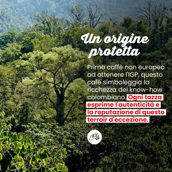 Cialde Colombia IGP
