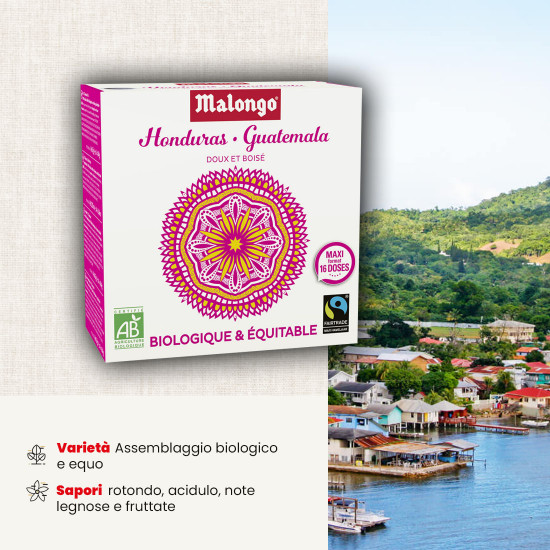 Cialde Honduras/Guatemala