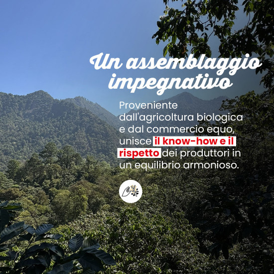 Cialde Honduras/Guatemala