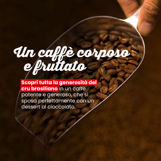 Caffè in grani Brasile
